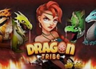 Dragon Tribe nlc